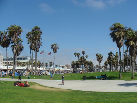 Bild des Tages 2: Venice Beach