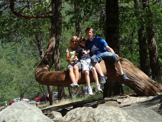 Bild des Tages 1: Familytree