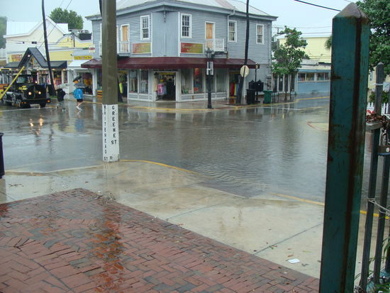 Die Straßen von Key West. Hier und da konnte man sogar kleine Krebse in den Pfützen spazieren gehen sehen.