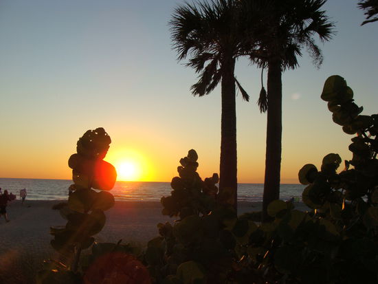 Am Ft Myers Beach haben wir gar kein Foto gemacht. Daher tritt an diese Stelle die Abendstimmung auf Sanibel Island.