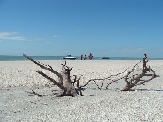 Der einsame Muschelstrand mit Maren, Dean, Al und dem Boot im Hintergrund