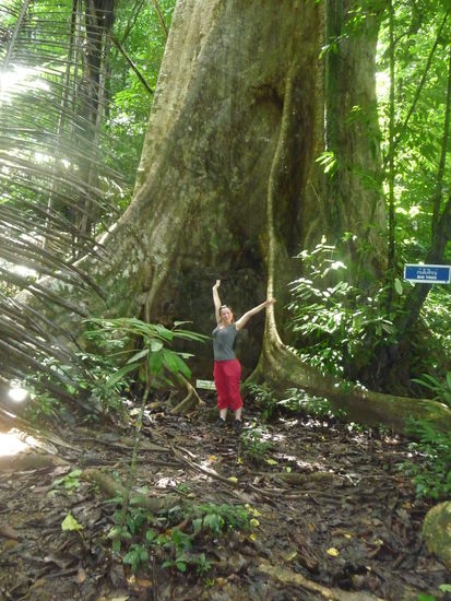 klein lisa vor dem groooooossen baum 
