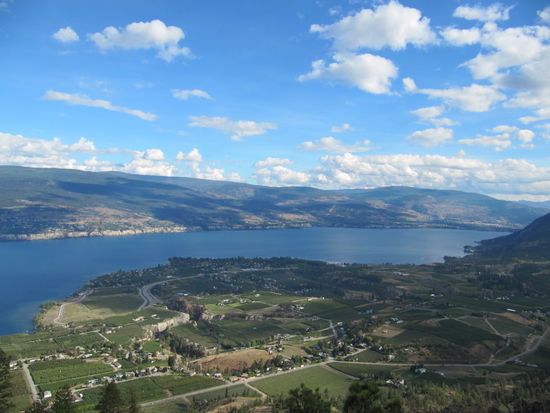 Ein kleiner Teil des 135km langen Okanagan Lake.