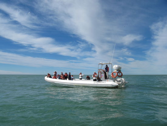 Auf hoher See, in guter Gesellschaft.