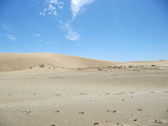 Einsamkeit in den Dünen.