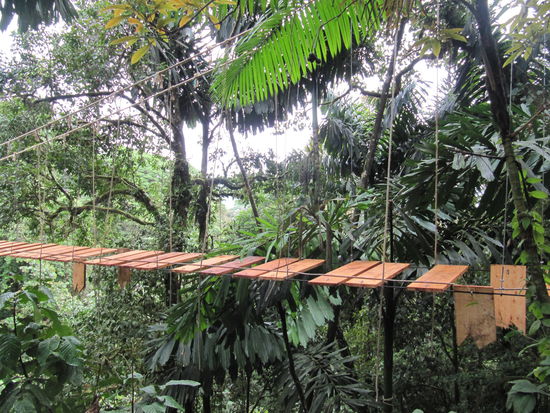 Hier wird in einigen Wochen ein Film gedreht, für welchen diese Brücke konstruiert wurde.