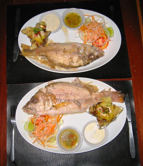 Red Snapper - Anja meint, sie hat noch nie so leckeren Fisch gegessen