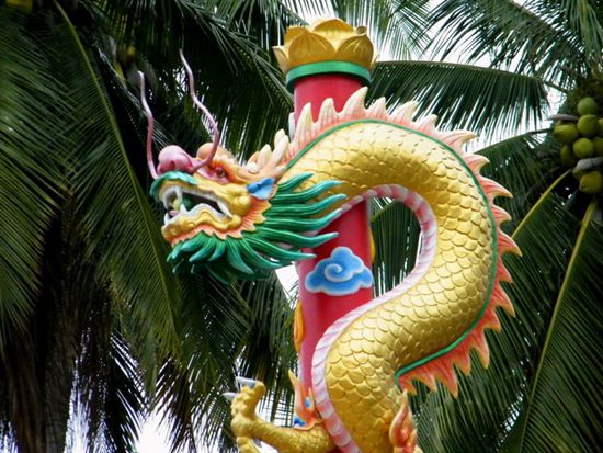 Drachen auf Phangan!