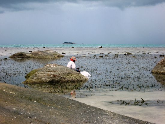 was kommt heute auf den Tisch?