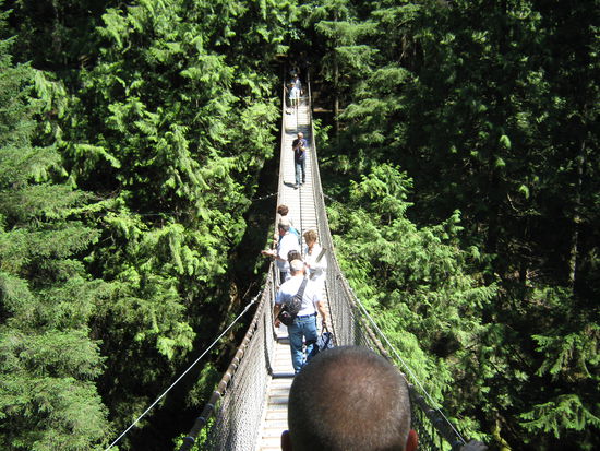 die Lynn Canyon Suspension Bridge