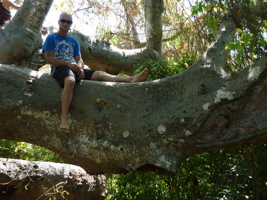 Ein Ast und Andree, Größenvergleich der Superlative!