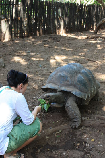 Hunger scheinen die den ganzen Tag zu haben!