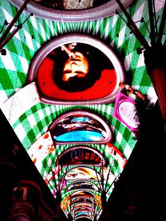 Fremont Experience