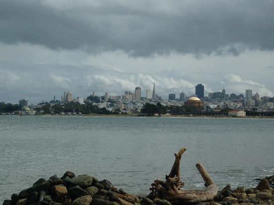 Skyline SF