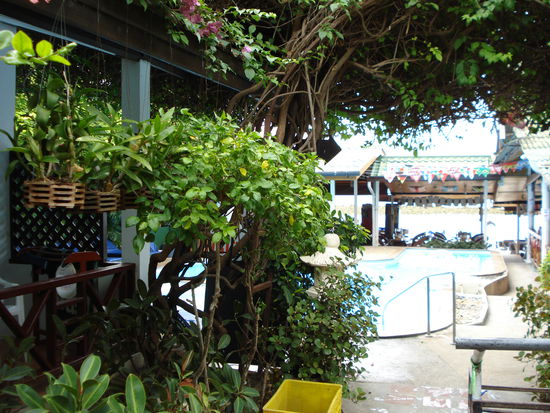 Mein bescheidenes Heim am Pool... (sie hatten wirklich kein anderes Zimmer mehr frei in der Ark Bar...)