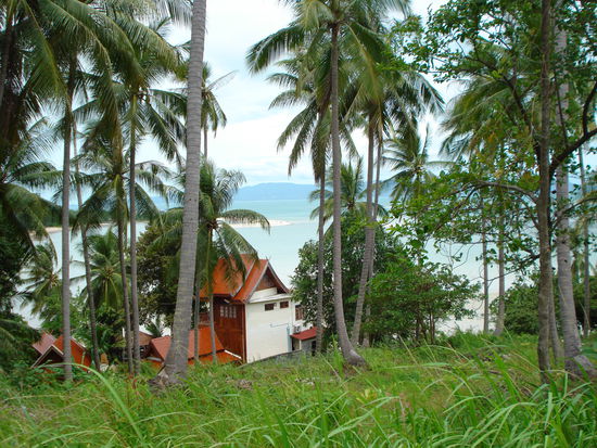 Ein Schnappschuss im Norden von Koh Phangan...