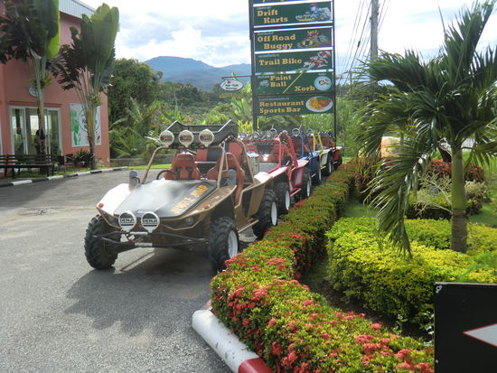 Buggy Offroad Fahren auf abgesperrtem Gelände