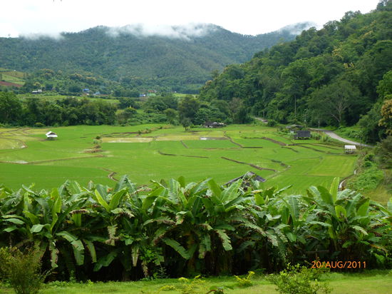 und hier der Ausblick