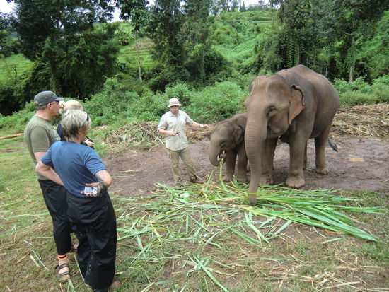 Einführungsgeschichten