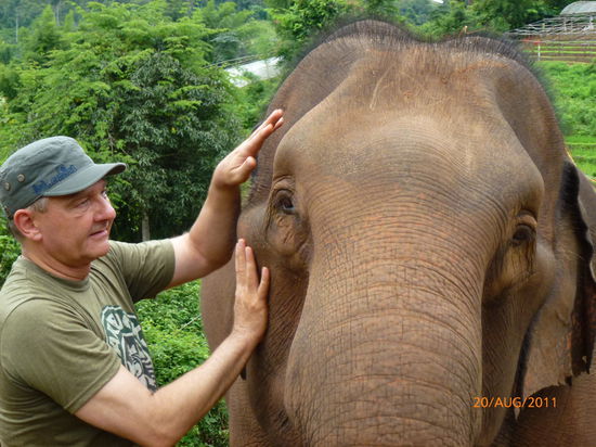 Ralle versucht es mit Hand auflegen