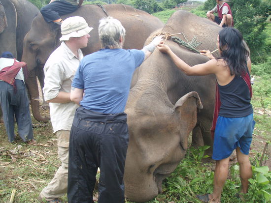 wie soll das gehen ????