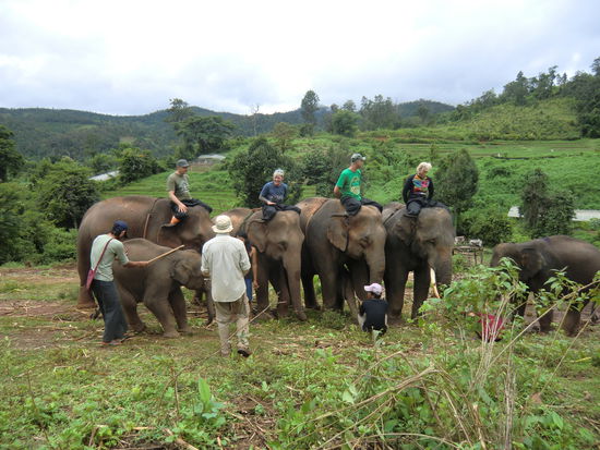 alle haben es geschafft
