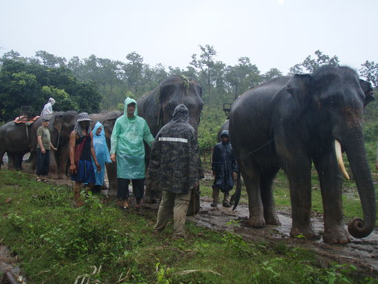 noch haben wir die Regenpellen an ....