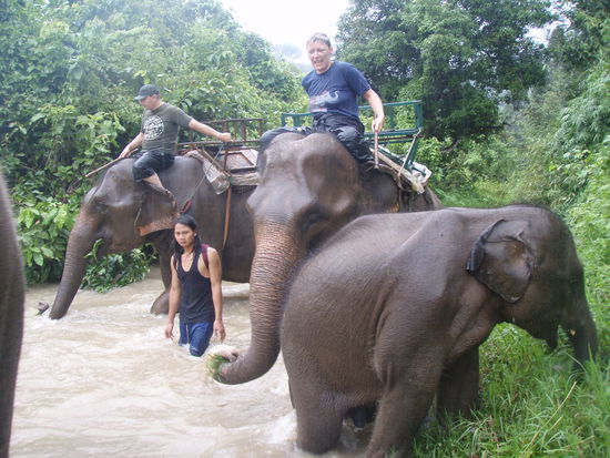 ganz schön verkehr in dem kleinen Bach