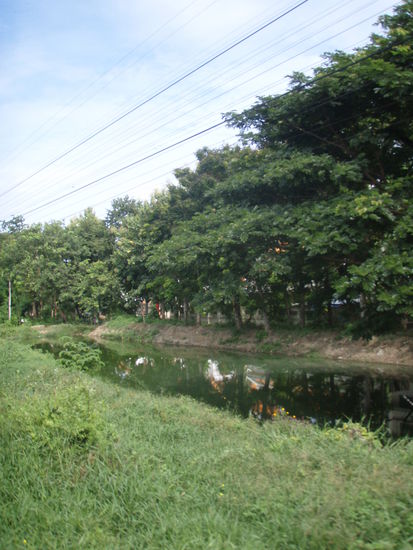 ..und grüne Landschaften...