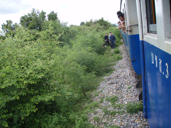 die Suche nach ner Kuh