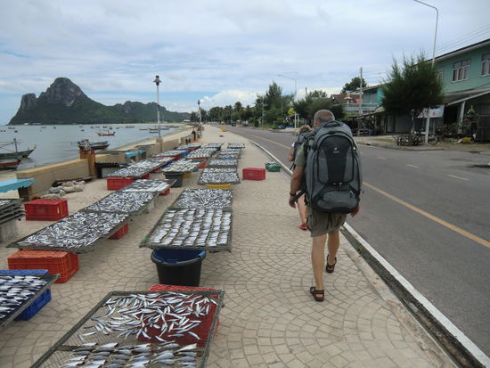 der beschwerliche Weg an etwas riechenden Fischen vorbei