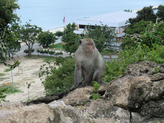 da sitzt schon einer