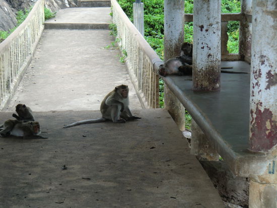 und noch mehr auf dem Weg