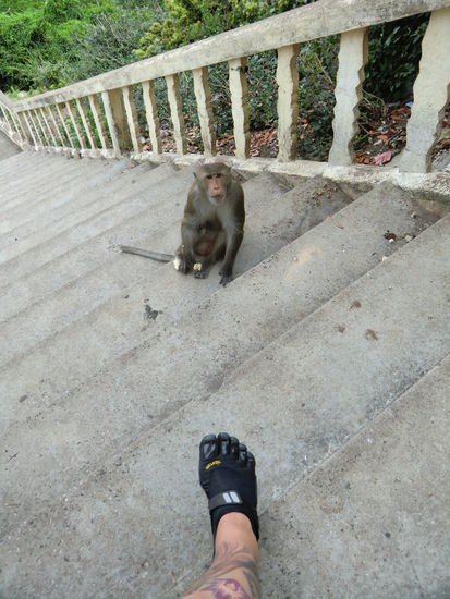 damit ihr nicht denkt, dass das alles nur mit nem Tele aufgenommen ist !! 