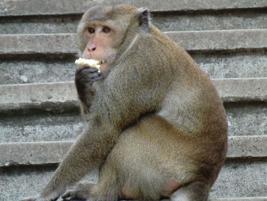 nochmal ne Nahaufnahme