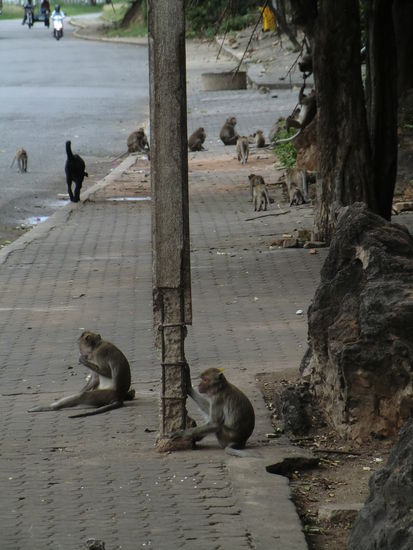 ist das ein Affentheater hier !! 