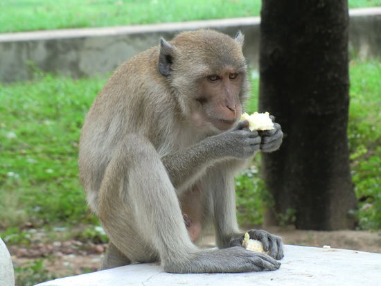 Alles meins !!!!!!!! 