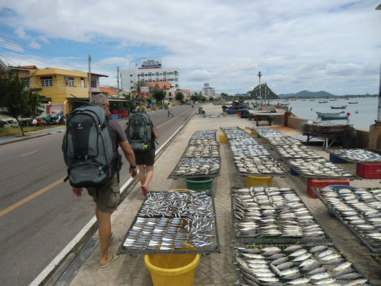 das Bild kennen wir ja schon vom Hinweg...die Fische lagen schon wieder da und nicht immer noch.. 