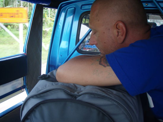 Bibo übermannt unterwegs die Müdigkeit