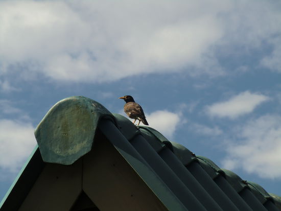 DA ist der Übeltäter !!!