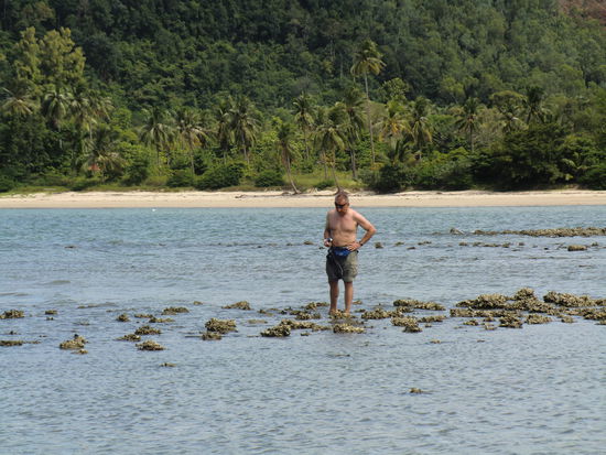 Ralle auf der Suche nach Fischen....