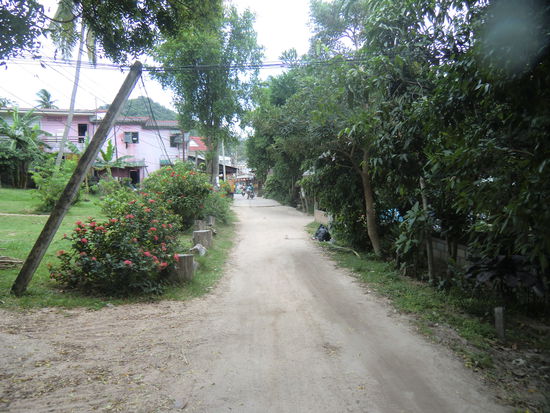 ok, ein bisschen spät aufgenommen, kurz vor Ende des Weges