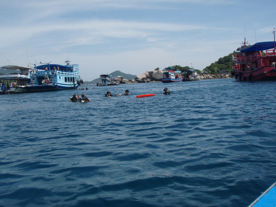 ganz schön viele Taucher hier