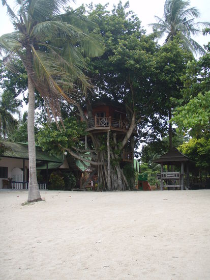 ...an Baumhäusern ....