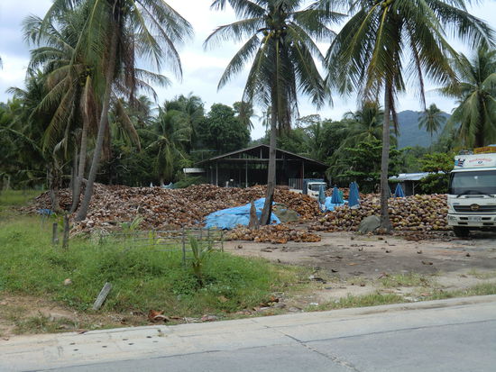 nebenan ne Kokosnussfabrik