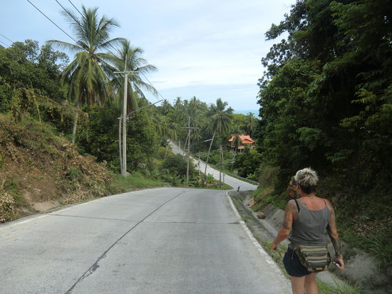......nochmal bergab, bevor es wieder bergauf geht.....