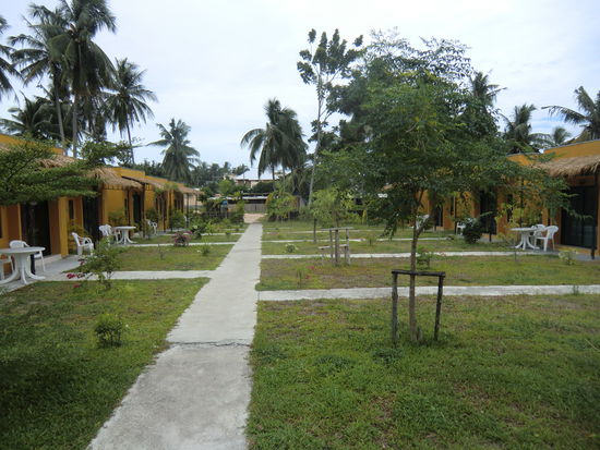 der Weg in Richtung Straße