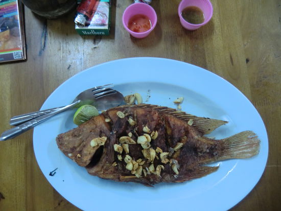 der beste Red Snapper mit Knoblauch, den wir bisher gegessen haben.....wirklich !!!!!