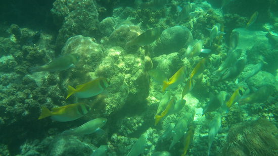 ...und weil es sooo schön war....nochmal...