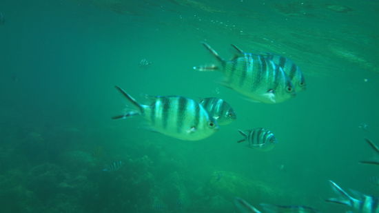 Mensch...noch welche...